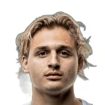 Hamza Yiğit Akman